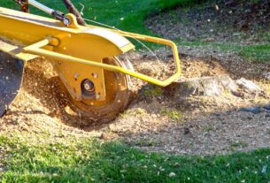 STUMP ROT: HOW TO QUICKLY REMOVE A TREE STUMP